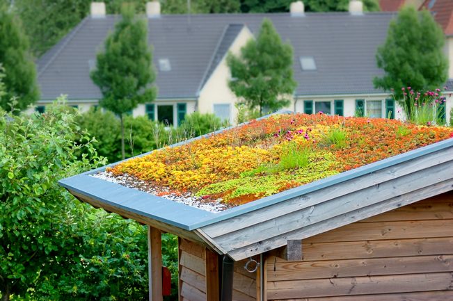 Dachbegrünung, Carport das mit pflanzen ausgestattet ist